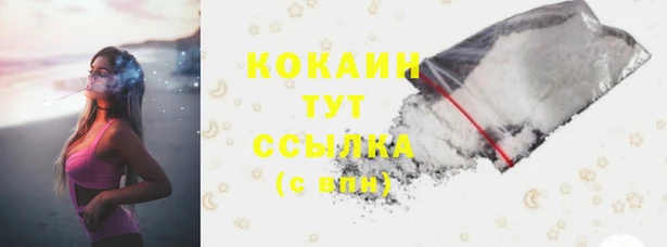 ПСИЛОЦИБИНОВЫЕ ГРИБЫ Баксан