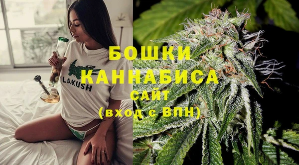 ГАЛЛЮЦИНОГЕННЫЕ ГРИБЫ Балахна